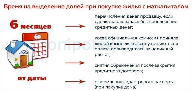 Как определить долю ребенка в имущественном урегулировании
