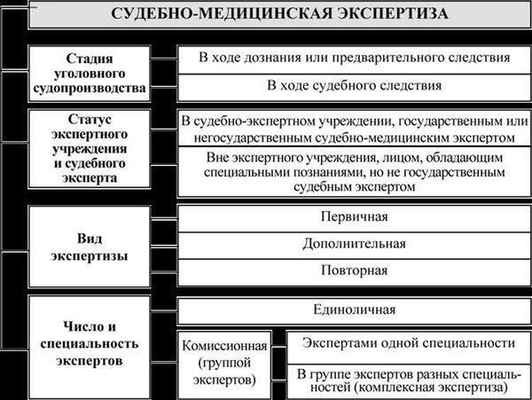 Каковы типичные сроки проведения различных видов экспертиз?