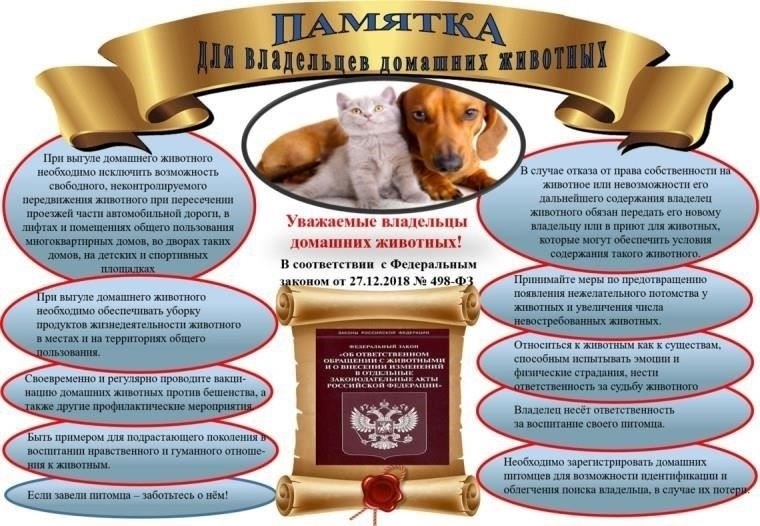 Конкретные наказания за жестокое обращение с животными в Москве