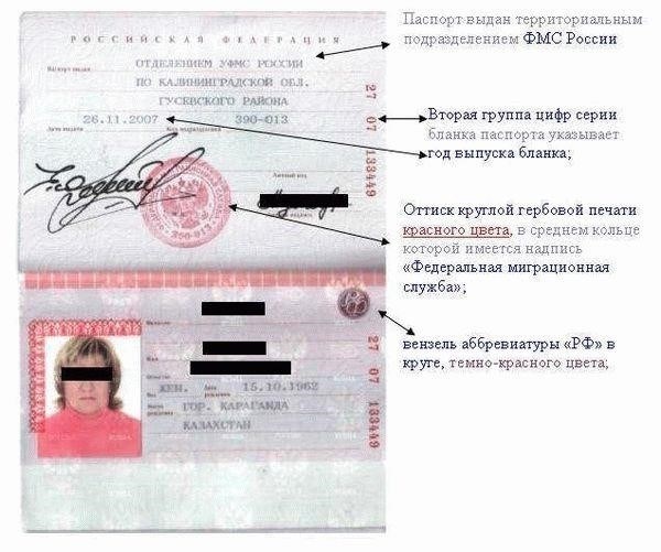 Срок действия паспорта: сколько времени у вас есть до продления?