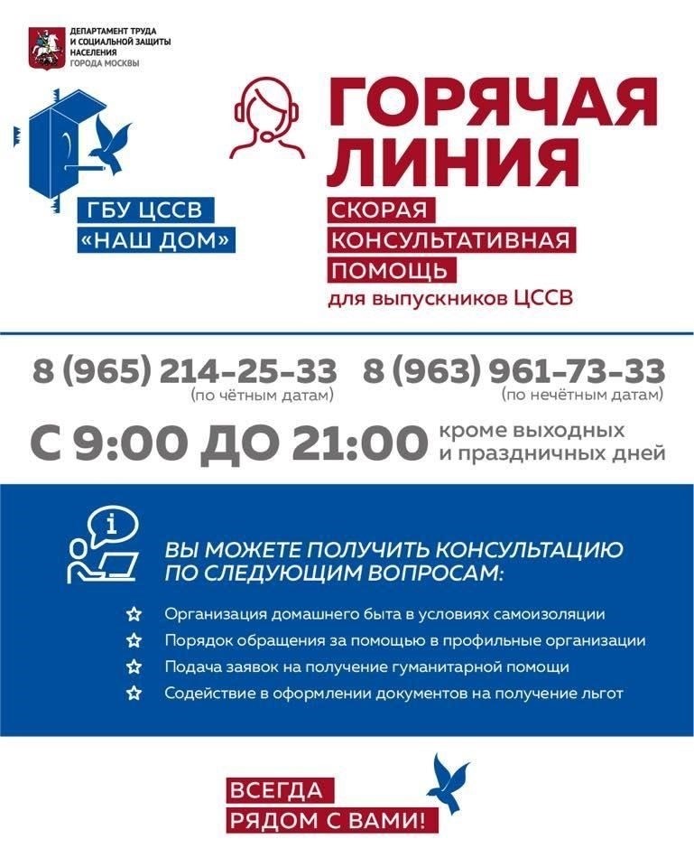 Услуги, которые можно получить по телефону горячей линии соцзащиты в Москве